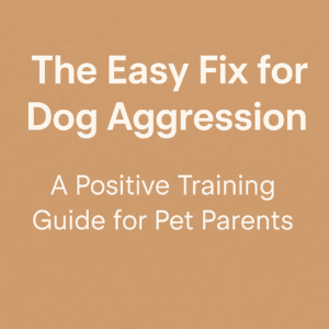 dog aggression training